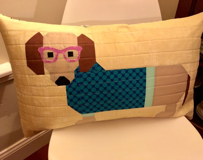 dog in sweater pillow complete